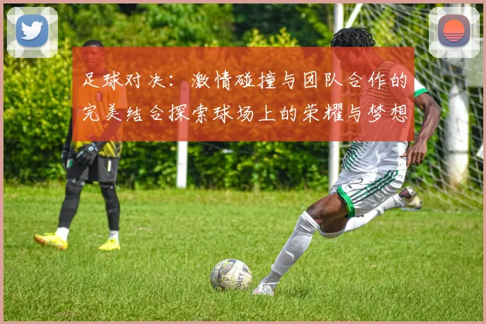 足球对决：激情碰撞与团队合作的完美结合探索球场上的荣耀与梦想