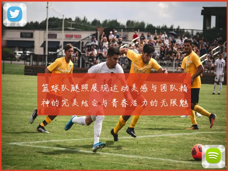 篮球队腿照展现运动美感与团队精神的完美结合与青春活力的无限魅力