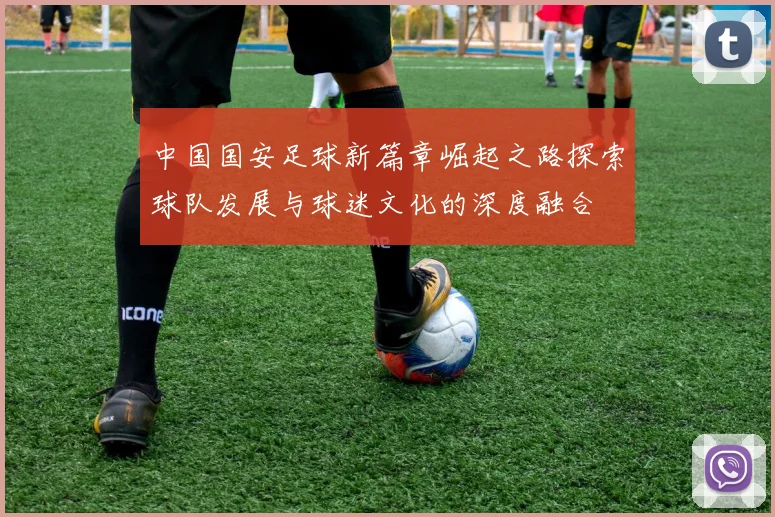 中国国安足球新篇章崛起之路探索球队发展与球迷文化的深度融合