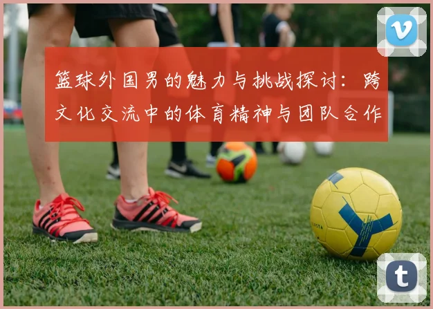 篮球外国男的魅力与挑战探讨：跨文化交流中的体育精神与团队合作
