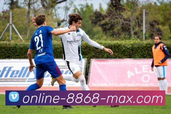 8868频道平台生态图